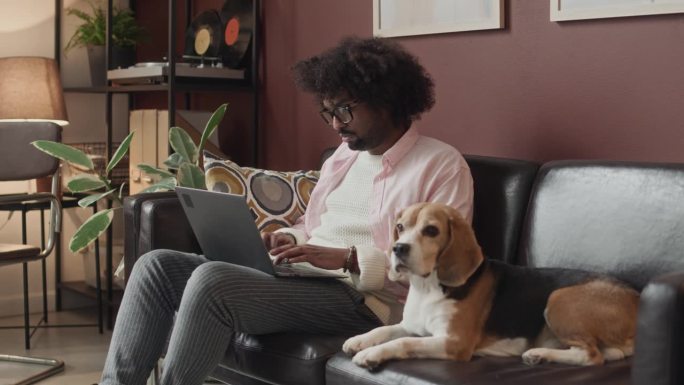 年轻的混血儿带着狗坐在沙发上用笔记本电脑工作