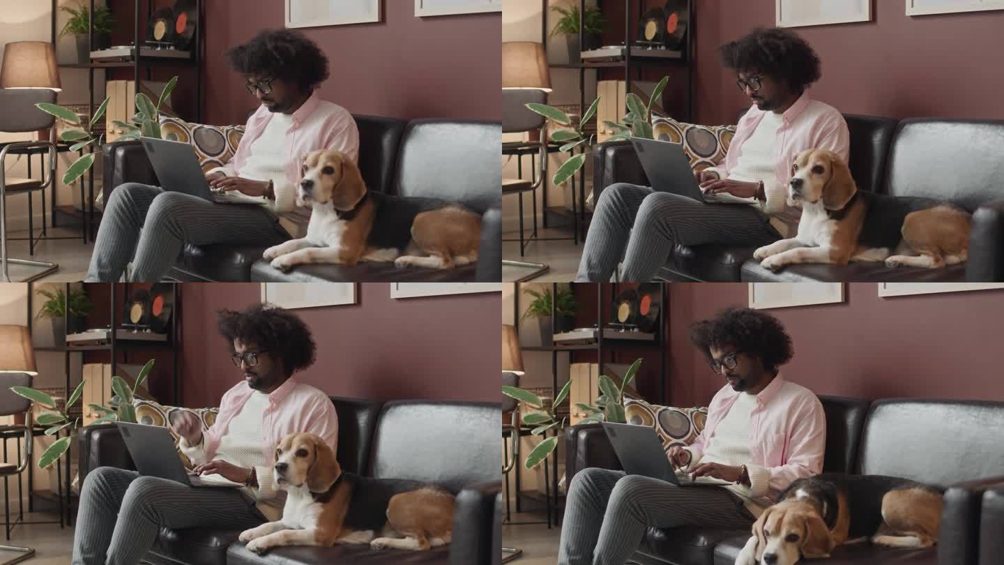 年轻的混血儿带着狗坐在沙发上用笔记本电脑工作