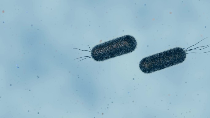 3d animation of motion of Escherichia  coli