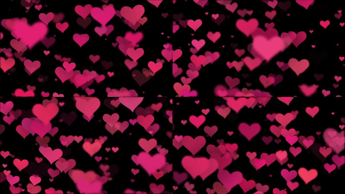 循环录像。粉红色的心在黑暗的背景。概念:情人节，纪念日，母亲节，结婚。粉红色的心在黑色的背景，情人节
