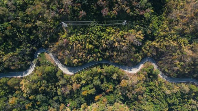 山上的路穿过绿林和高山