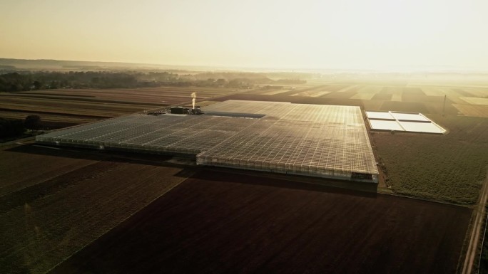 在晴朗的天空下，明亮的夕阳下，无人机在农田上拍摄的大型温室。日落时分在大番茄温室上空飞行。