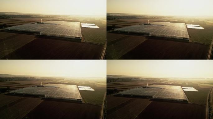 在晴朗的天空下，明亮的夕阳下，无人机在农田上拍摄的大型温室。日落时分在大番茄温室上空飞行。