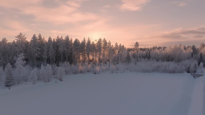 风景飞上松树林广泛覆盖白霜和突出的日落。瑞典极度寒冷，气温低于零下30度。
