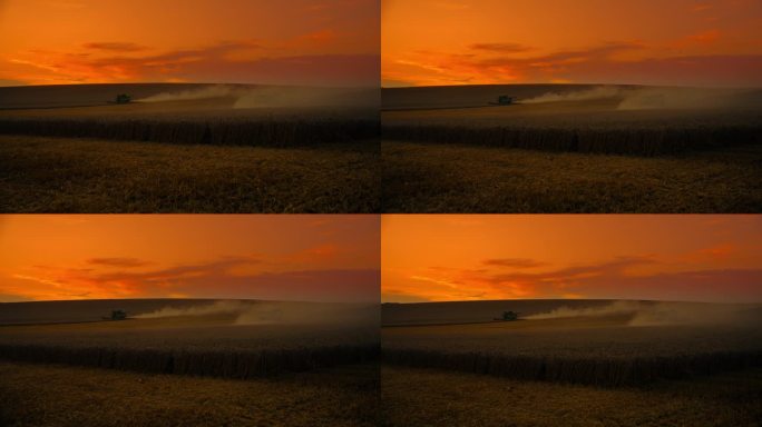 SLO MO中距离多丽拍摄的联合收割机在麦田对黄昏戏剧性的橙色天空