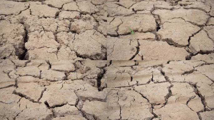 全球变暖导致土壤破裂