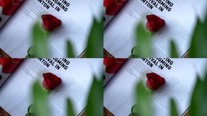 【4K实拍】一束玫瑰花缓慢地放在书本上