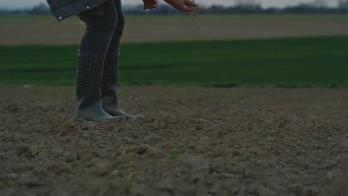 SLO MO女性环保主义者在日落时分在田间工作时检查土壤