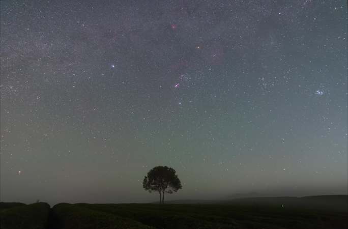 一棵小树冬季星空延时摄影4k素材