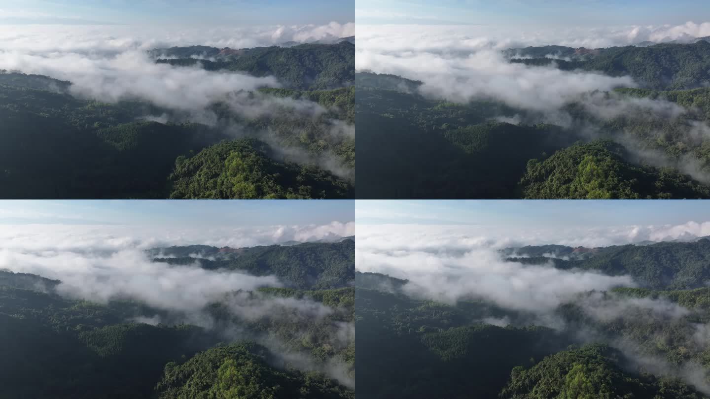 云雾缭绕下铜壁关自然保护区森林