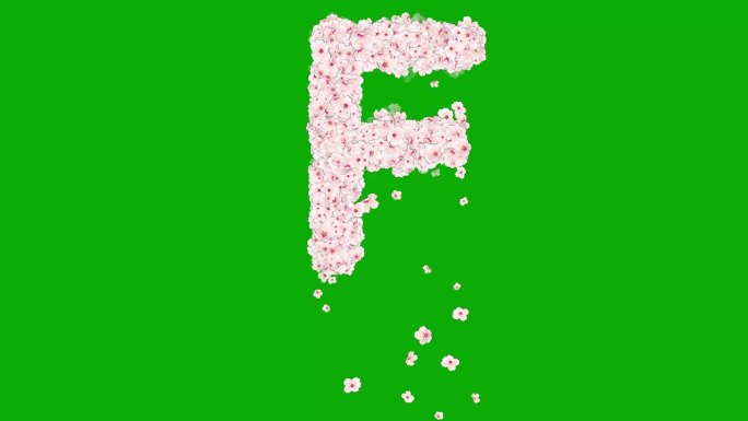 英文字母F与樱花绿色屏幕背景