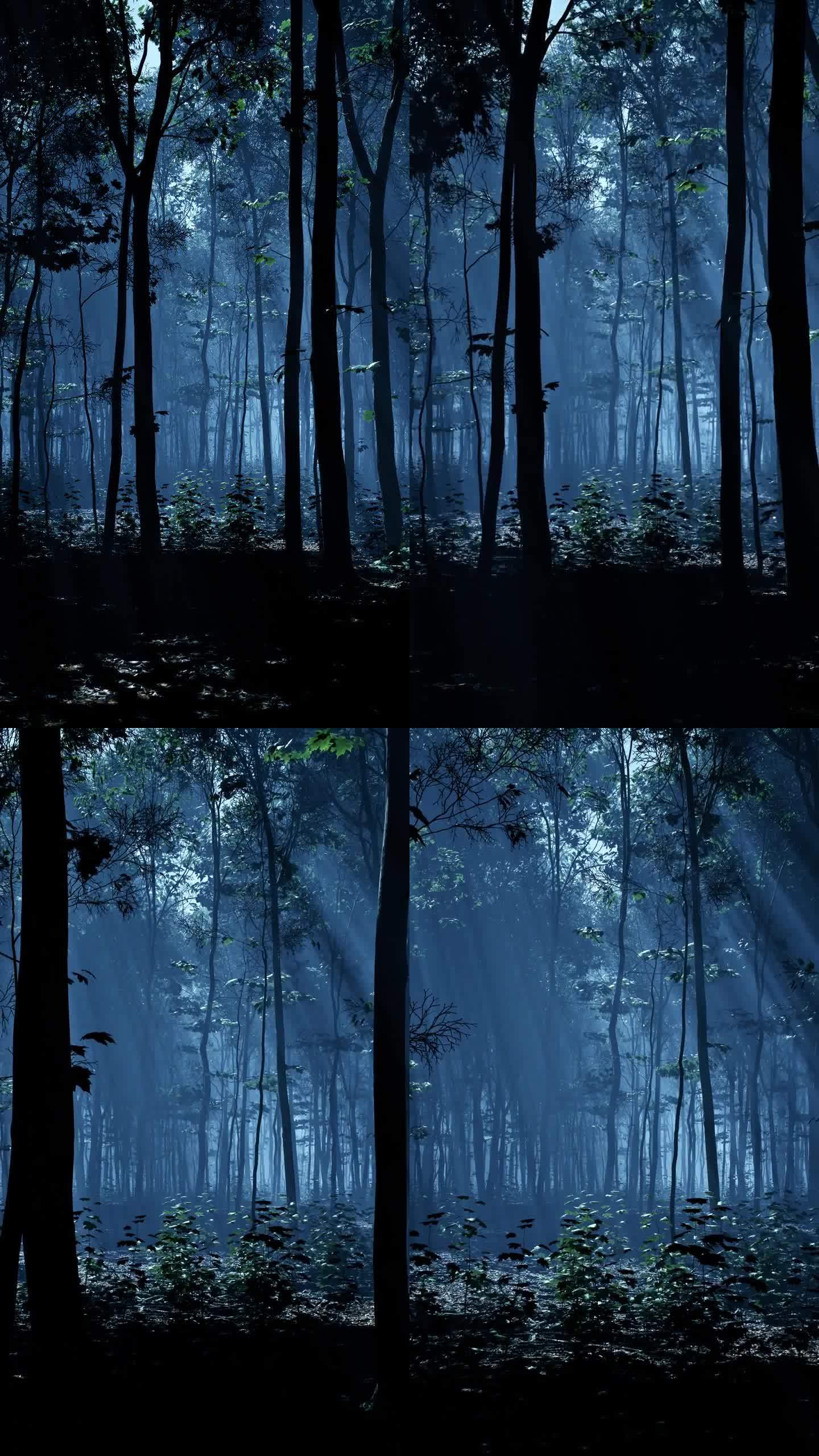 月光在夜行的森林上投下迷人的光芒。