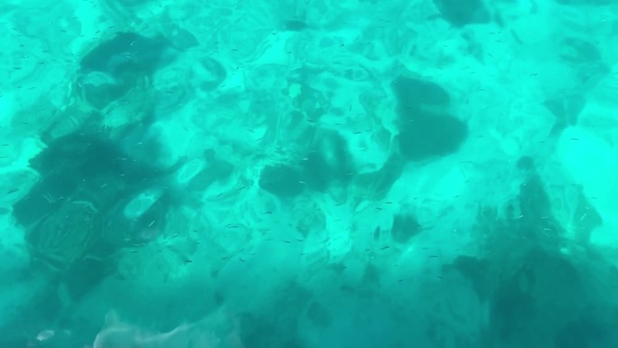 一大群小鱼在珊瑚礁附近的蓝色水面下游泳。