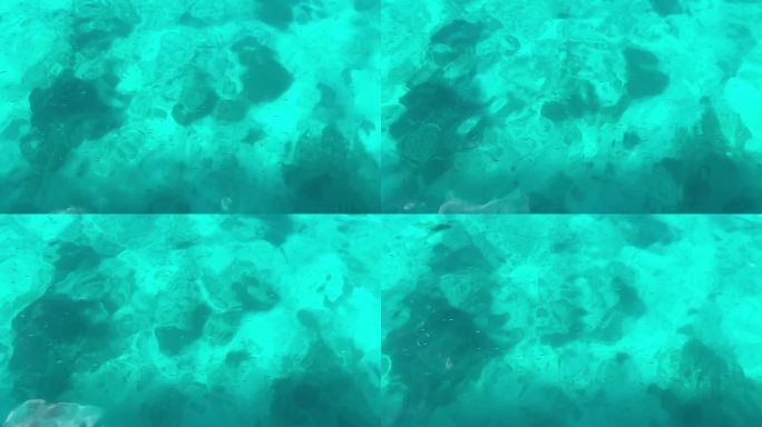 一大群小鱼在珊瑚礁附近的蓝色水面下游泳。