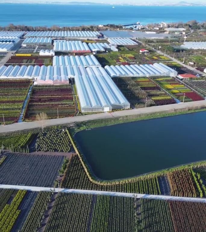 农场的鸟瞰图包括温室和海边的灌溉池。种植在温室里的植物随处可见。