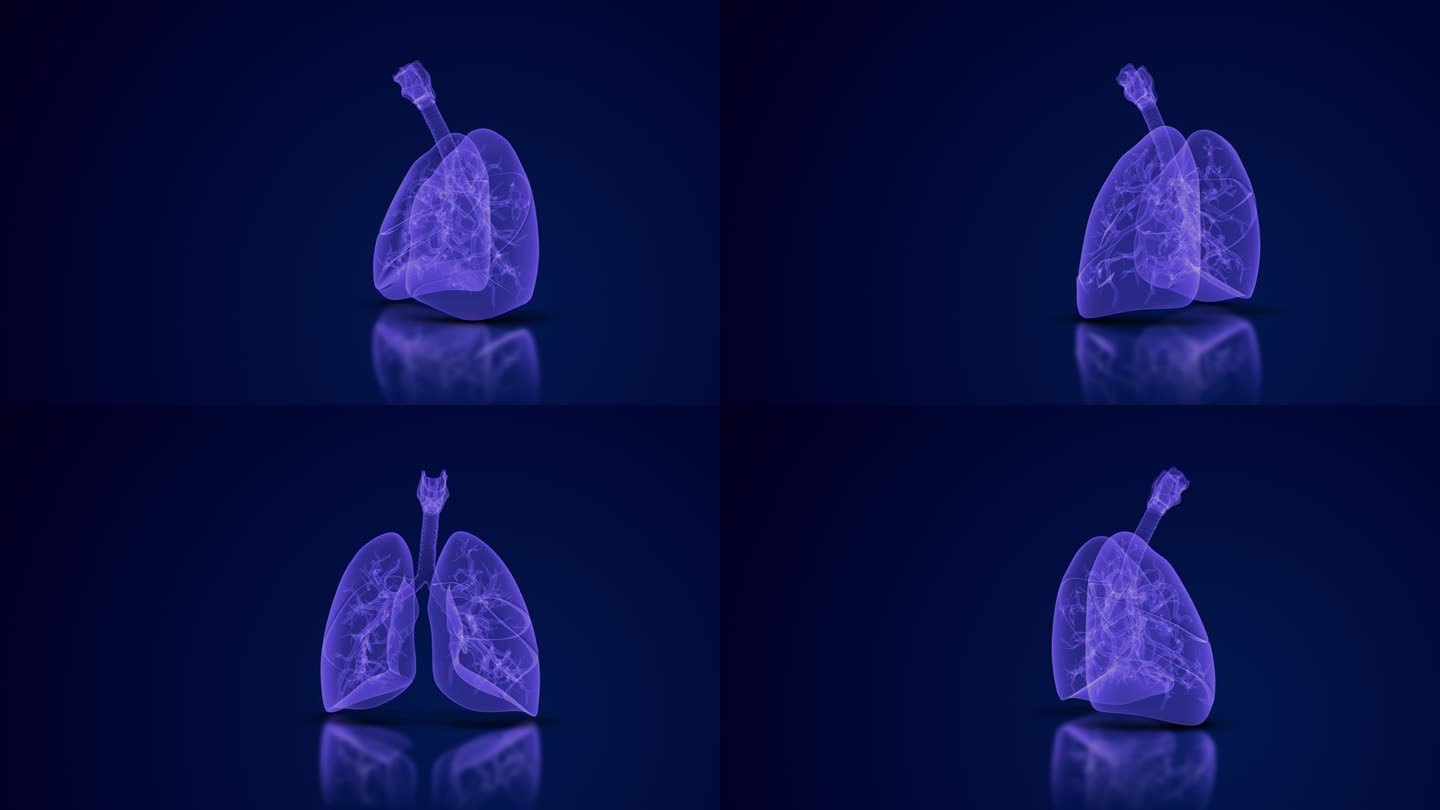 人体肺呼吸系统医学背景。