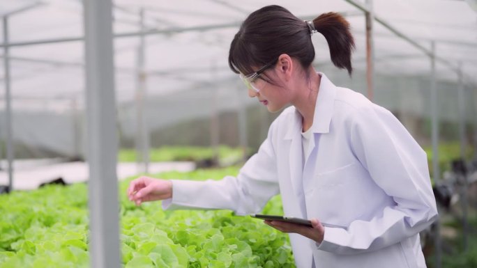 女科学家用药片检查蔬菜生产的质量。