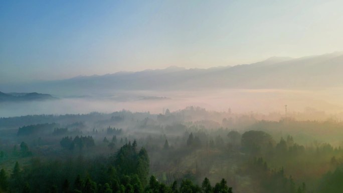 意境山水水墨山水风景森林 树林云雾晨雾