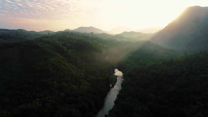 鸟瞰婆罗洲雨林在加里曼丹，印度尼西亚