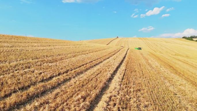 空中收获交响曲:俯瞰摩拉维亚地区金色田野里收割小麦的农民