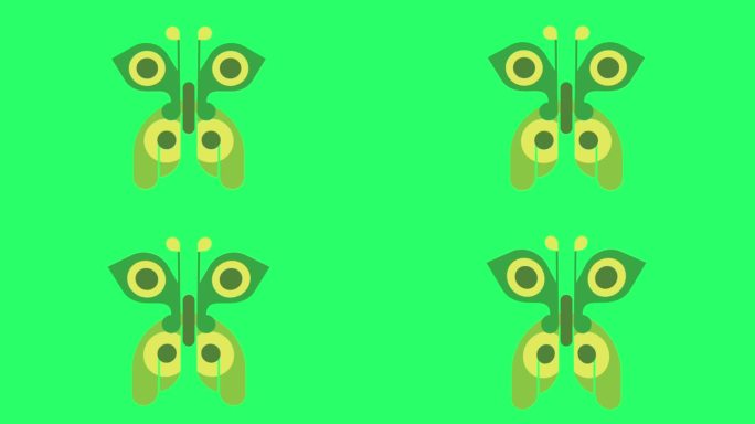 动画绿蝴蝶飞孤立在绿色屏幕上。