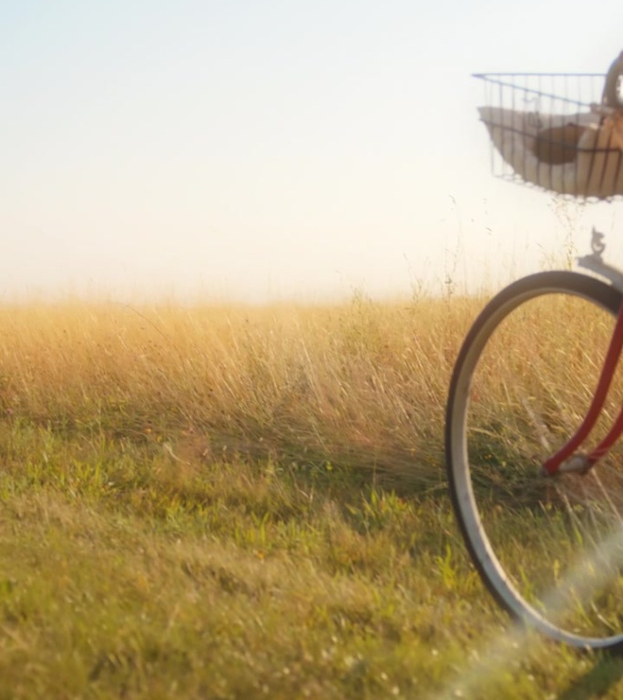 阳光明媚的一天，女子在草地上愉快地骑自行车