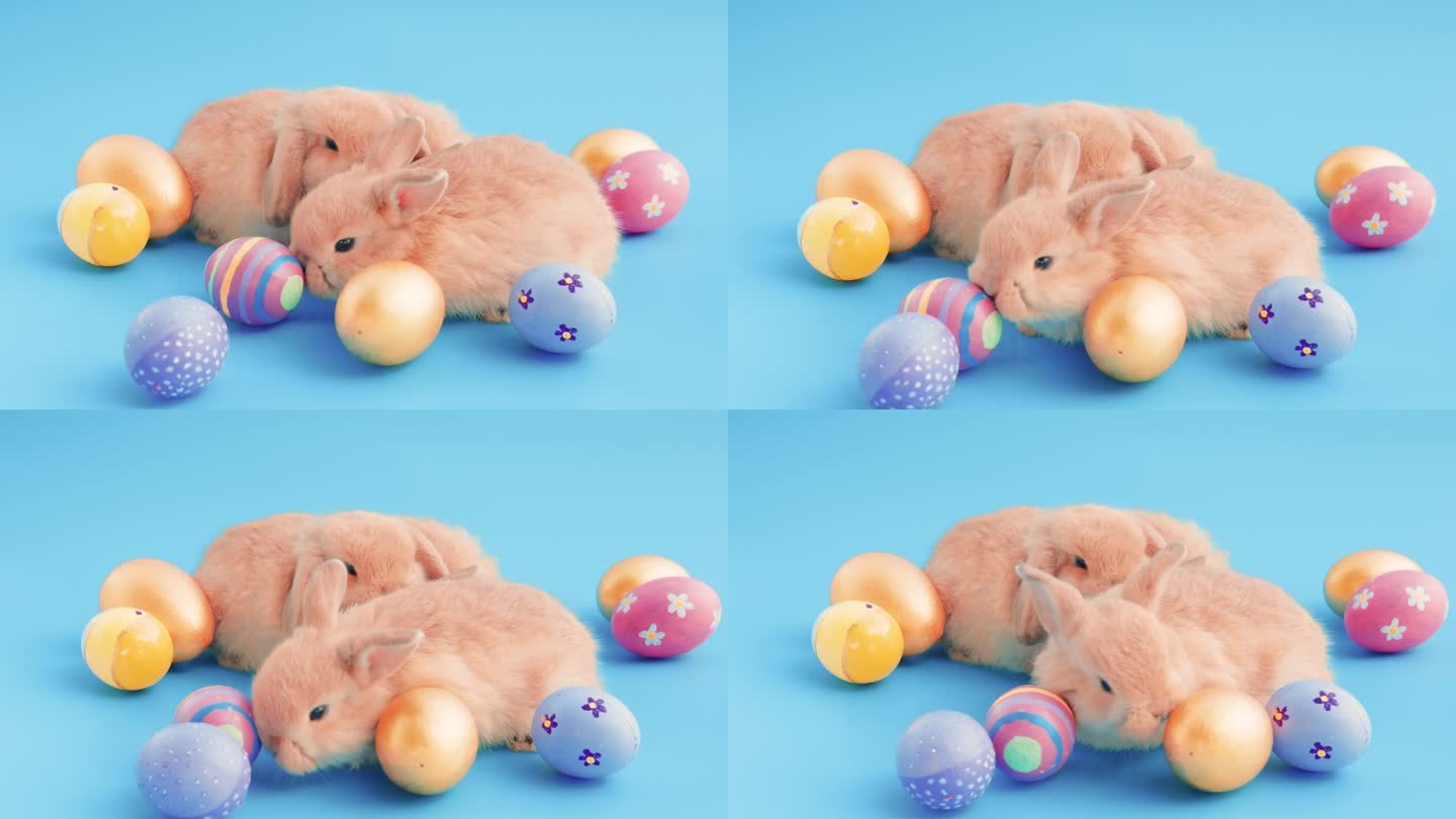 小复活节兔子与复活节彩蛋在孤立的蓝色背景