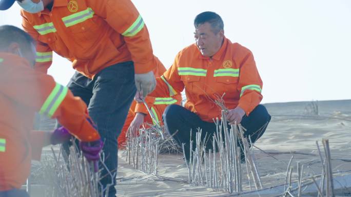 道路养护中心栽种沙障