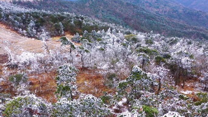 台州黄岩大寺基，雾凇航拍