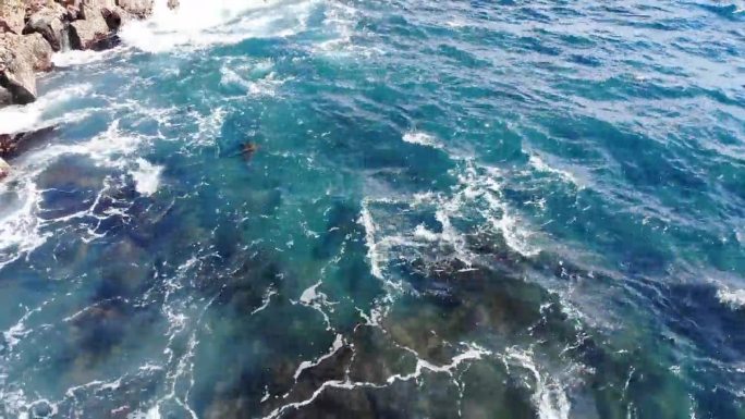 海龟浮在夏威夷海岸线上呼吸