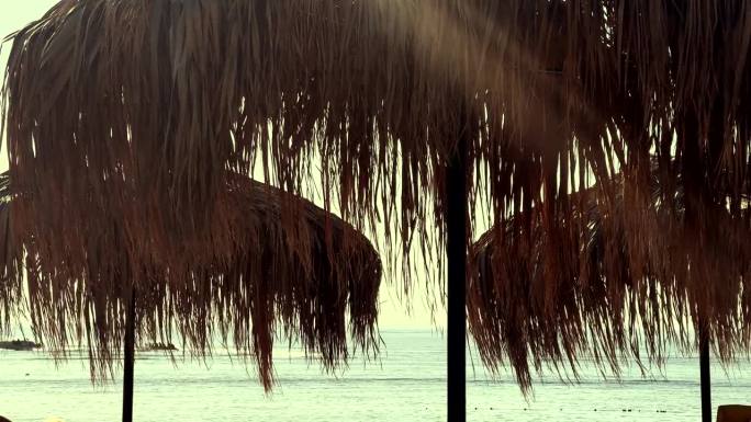 海滩上的热带风格遮阳伞