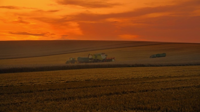 SLO莫多利拍摄的农业车辆在麦田对戏剧性的橙色天空黄昏