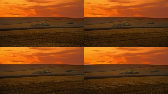 SLO莫多利拍摄的农业车辆在麦田对戏剧性的橙色天空黄昏