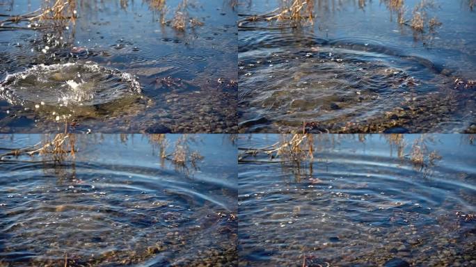 特写镜头捕捉到了水滴在水中的动态运动