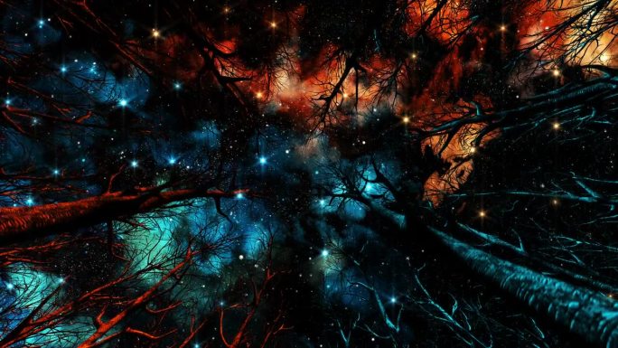 在一片光秃秃的森林里移动时，从下往上看银河和闪烁的星星