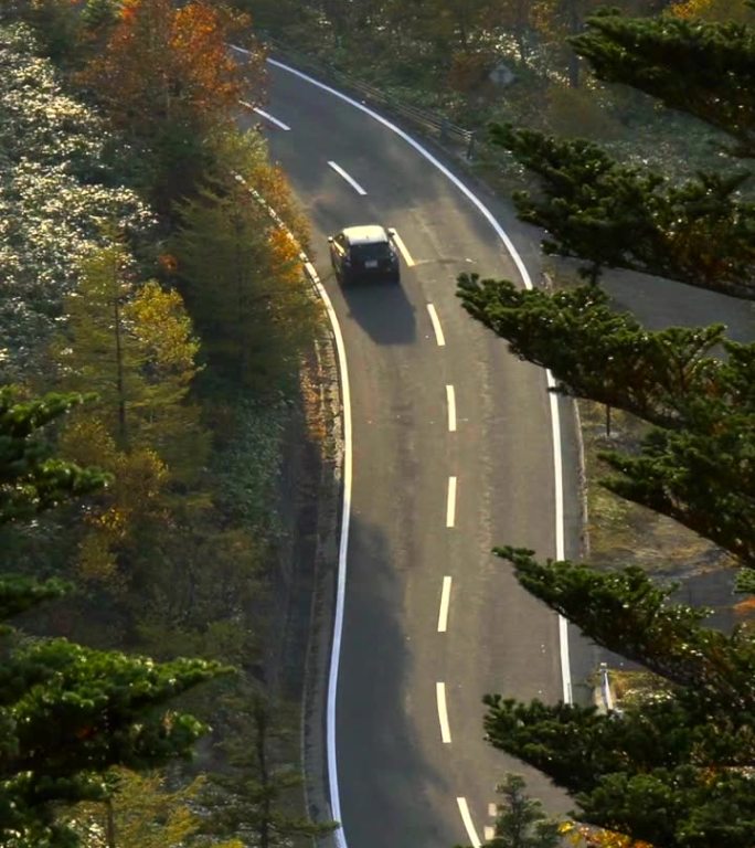 汽车驶过秋叶山路蜿蜒的山间公路