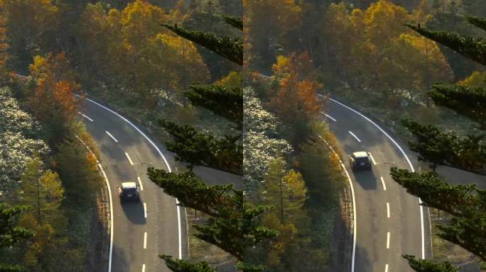 汽车驶过秋叶山路蜿蜒的山间公路