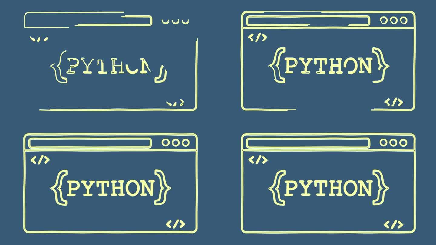 Python编程编程软件开发背景动画