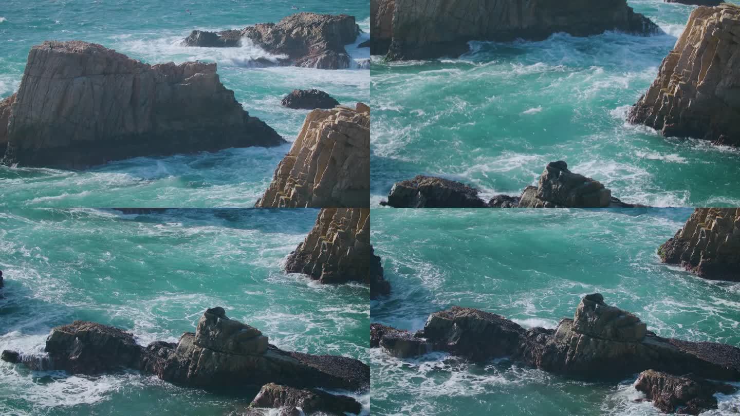 从油漆匠角(Painters Point)嶙峋的岩石上延伸下来的宽阔的平底锅，可以看到一只海狮在波涛