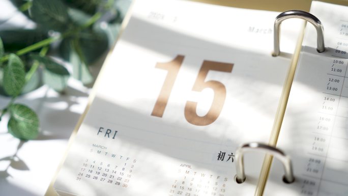 315国际消费者权益日