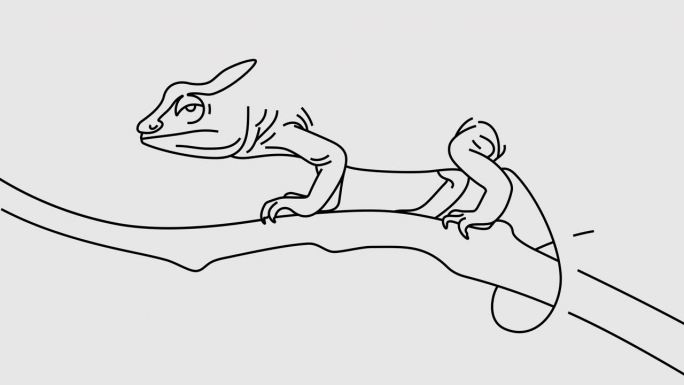 变色龙沿着树枝爬行的图形动画。阿尔法通道。可爱的蜥蜴在透明的背景运动设计。4 k的决议
