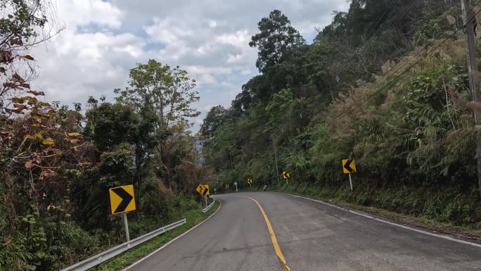 蜿蜒的道路穿过茂密的森林