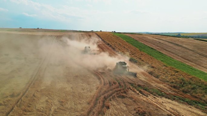 空中收获交响曲:俯瞰摩拉维亚地区金色田野里收割小麦的农民。鸟瞰图