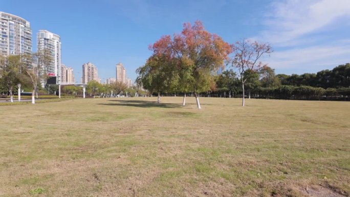 苏州金鸡湖现代建筑街景