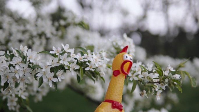 滑稽惊奇的玩具头在户外的树枝上看白花。