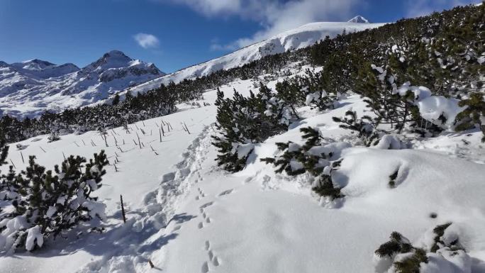 保加利亚皮林山的冬日美景