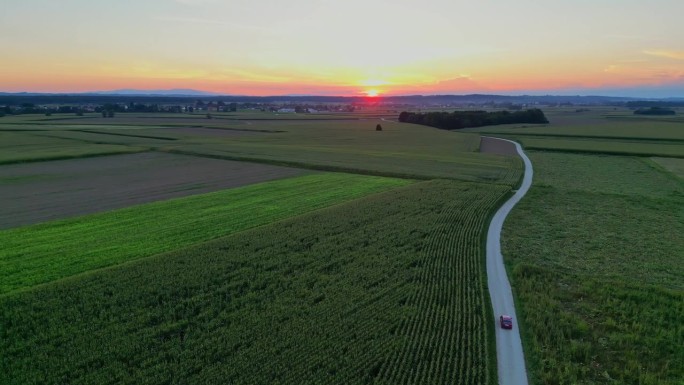 空中无人机镜头汽车通过狭窄的道路在郁郁葱葱的农业领域对天空在日落期间