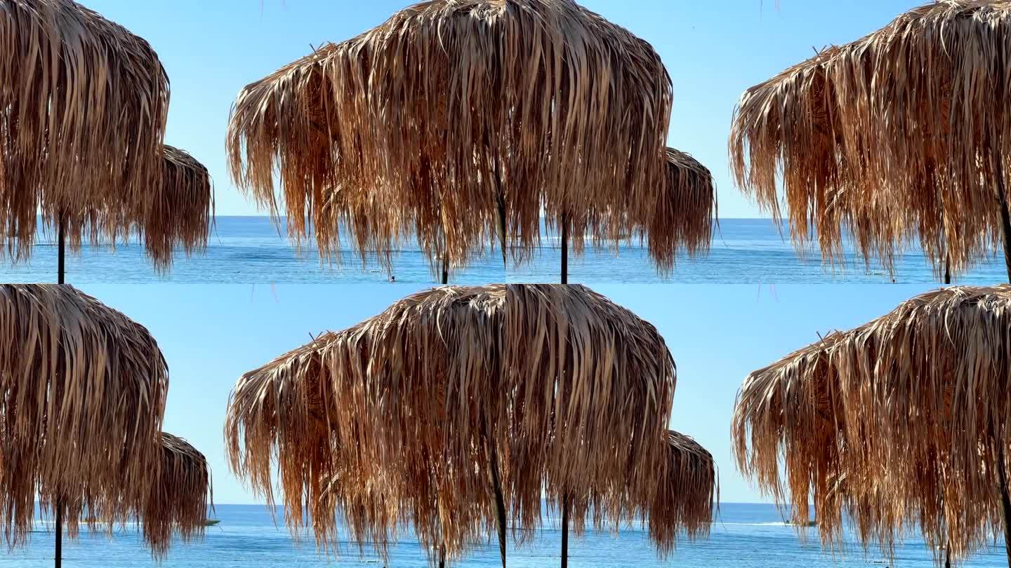 热带风格的遮阳伞和度假乐趣在海滩度假