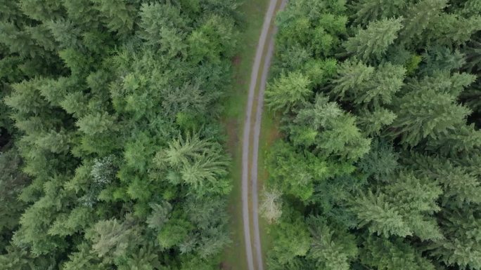 无人机沿森林路径转弯的鸟瞰图