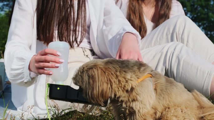 年轻妇女用特殊的瓶子给小狗喝水